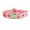 Pink Anti-Escape Dog Leash and Collar Set for Walking