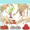 Exciting Diy Dinosaur Skeleton Excavation Kit Realistic Archaeological Model Toy