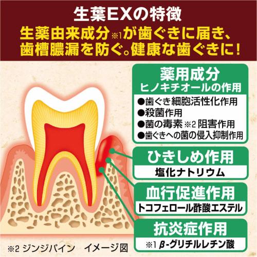 Shoyo EX (Shoyo EX) Medicated Toothpaste to Prevent Periodontal Disease, Herb Mint Flavor, 100g