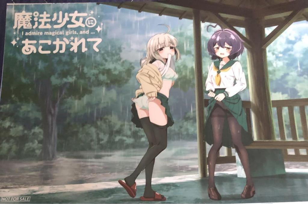 [USED] C106 Longing for a Magical Girl THE Chara Venue-limited purchase bonus