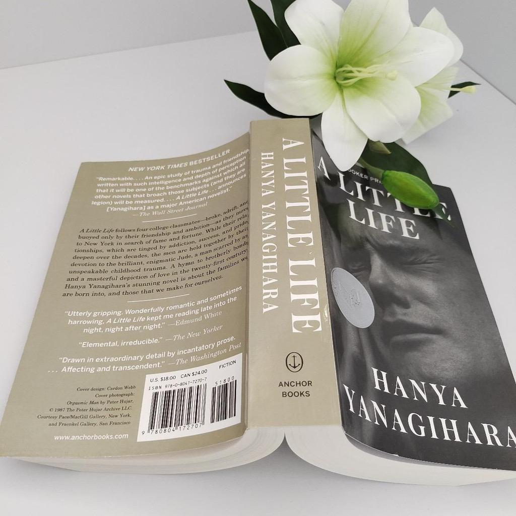 A Little Life - by Hanya Yanagihara (Paperback)