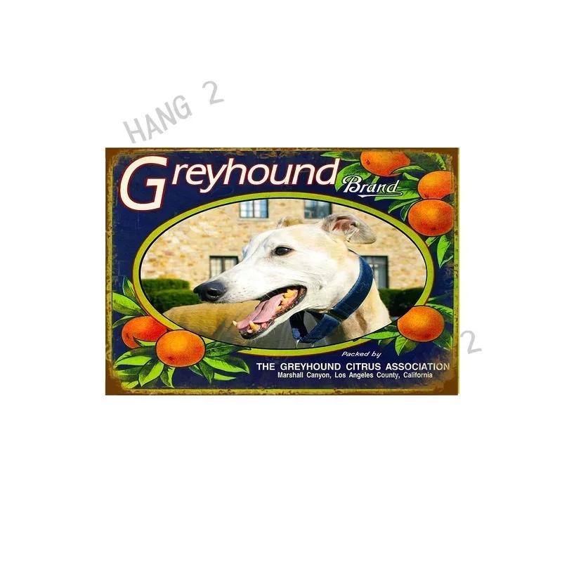 

Retro Greyhound Pin Up Metal Tin Sign Girls Fell in Love Poster Style Decor for Bar Garage Home 20x30cm（7.8x11.8inch）