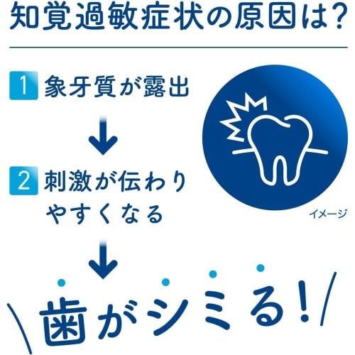 [Set of 4] Shumitect True White Medicated Abrasive-Free Whitening Toothpaste, 80g X 4, Anniversarich, Includes a Small Gift