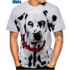 Beautiful Dalmatians 3D Printed T-Shirt Dalmatians Fashion Men Women's Personality Hip Hop Casual T Shirt Male Streetwear Tops