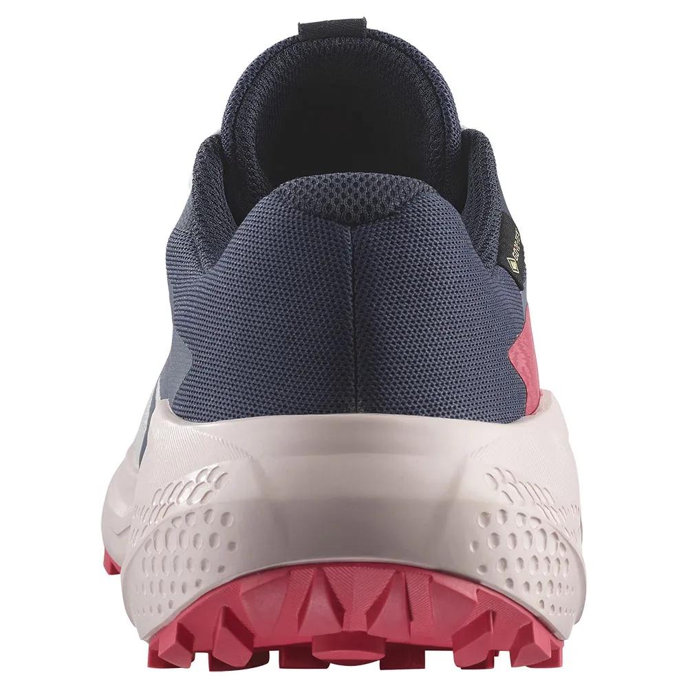 SALOMON Trail Running Sneakers Alphaglide Goretex