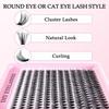 Enlarge Eyes False Eyelashes 30D 40D 50D 60D 80D Individual Lashes  Daily Beauty Routine