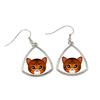 Toyger - Elegant Metal Earrings As a Gift from the Brand