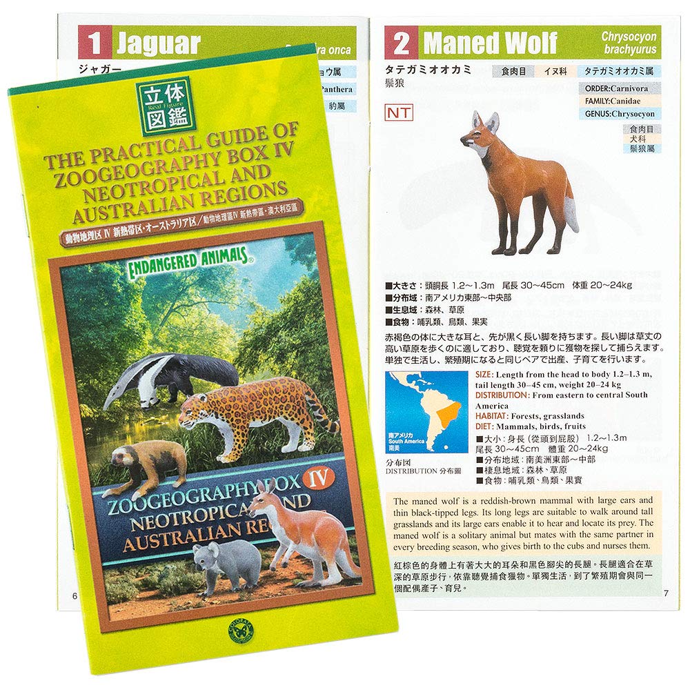 Calorata Tiergeographie Zone 4 Figur 3D Enzyklopädie und Australisch 12 Enthält Realistische Figur Box Pädagogisch Lebensmittelhygienegesetz Geschenk