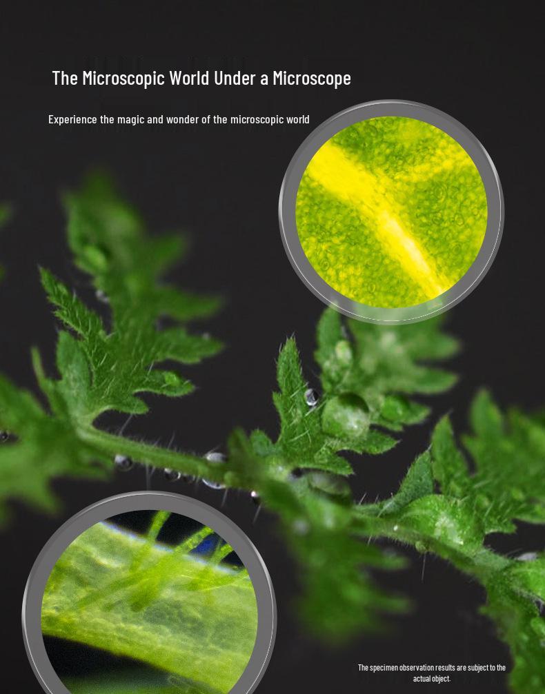 Xueyouma 1200X Children's Optical Microscope Science Experiment Set