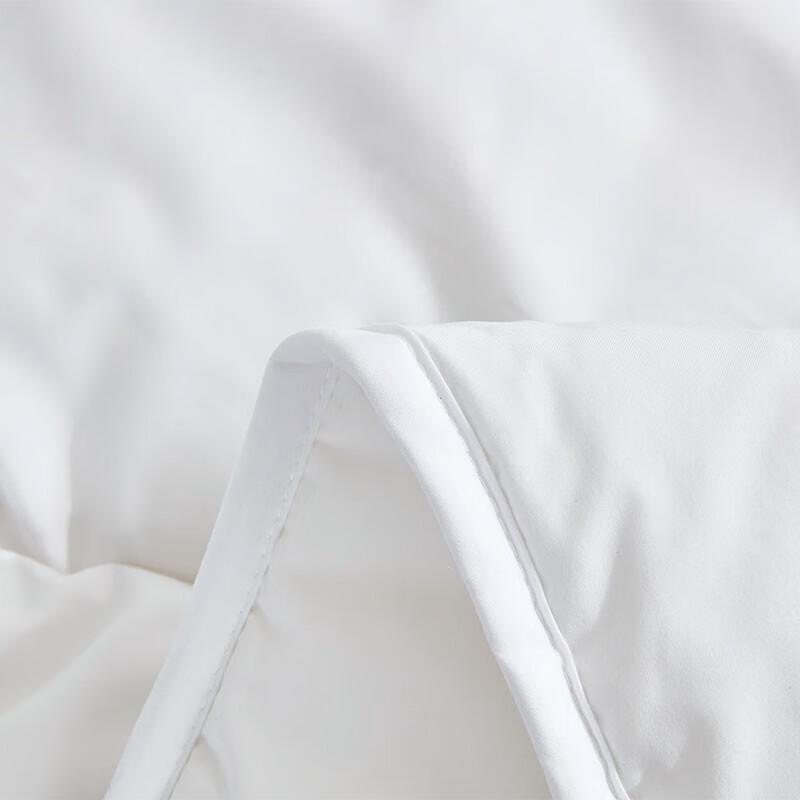 LOVO Warm Microfiber Winter Comforter