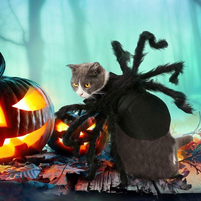 Pet Dog And Cat Costume Halloween Spider Transformation Outfit Pet Costume Pet Cat Dog Funny Cosplay Dress Up Clothes Costume