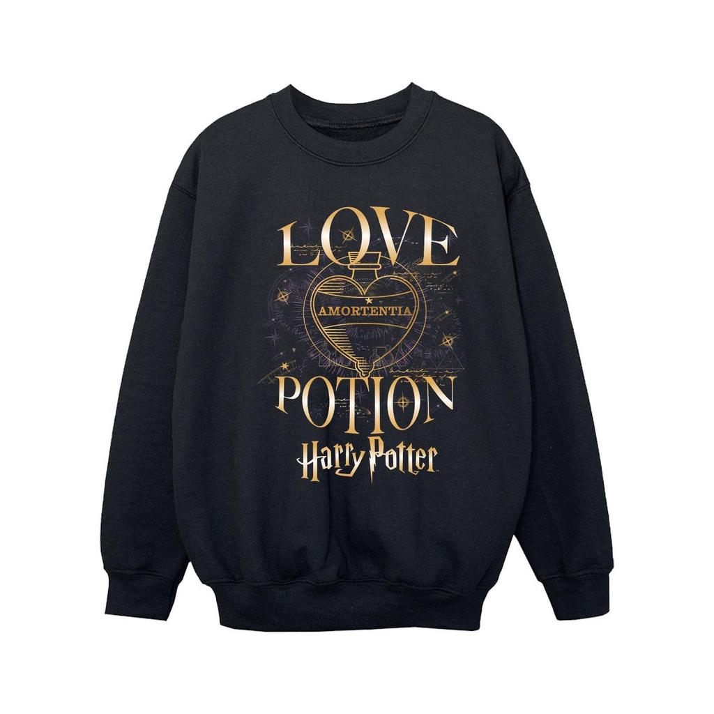 Harry Potter Girls Love Potion Sweatshirt
