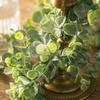 Artificial Eucalyptus Vine 1 Piece 1 8 Meter Simulation Garland Faux Plant for Home Office Wedding Decoration