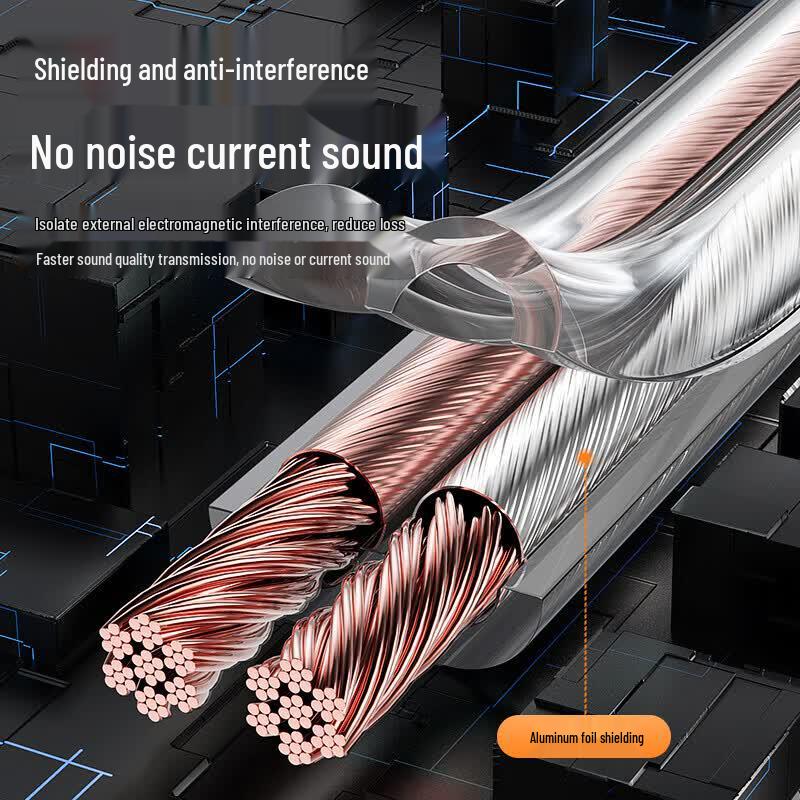 BIAZE Audiophile Pure Copper Speaker Cable