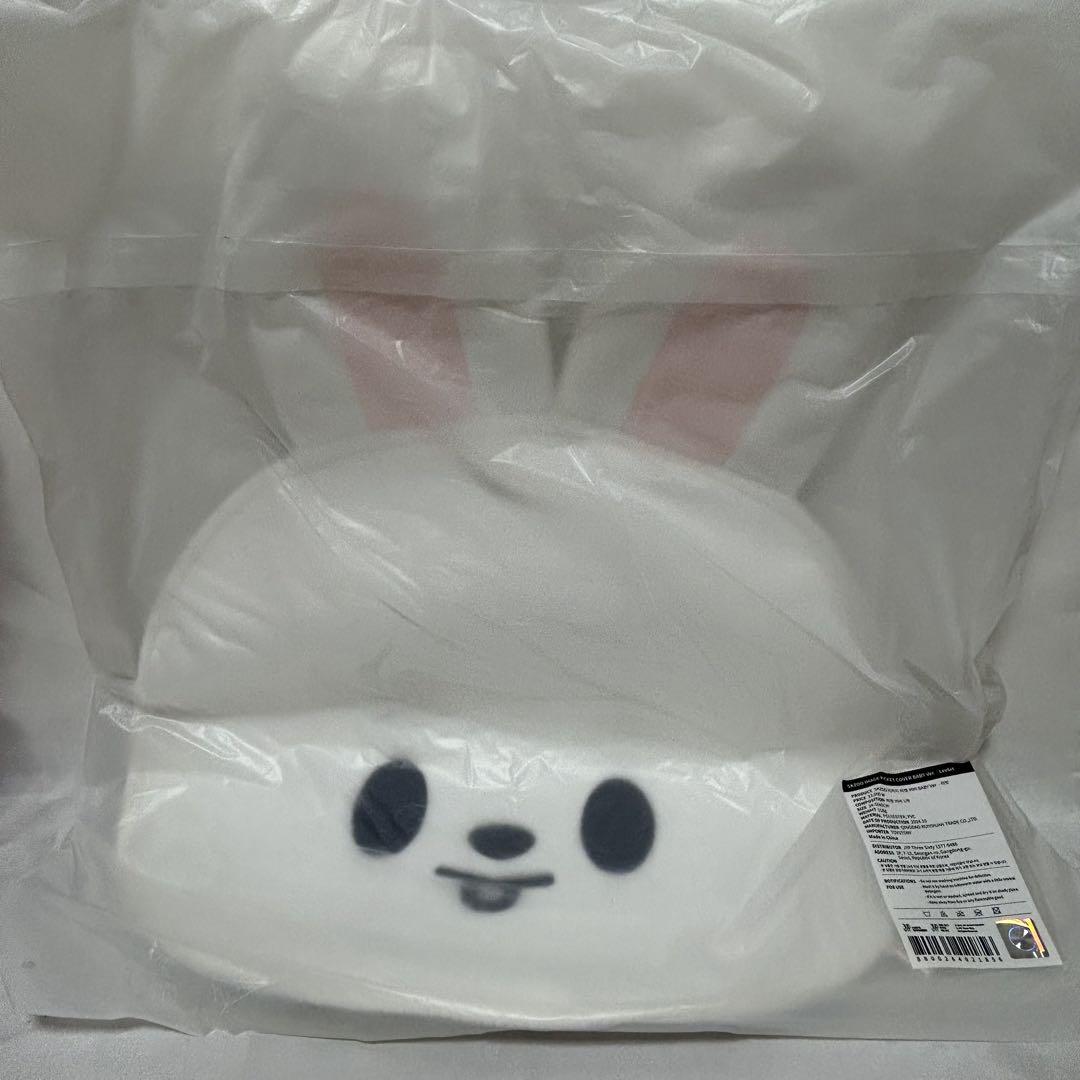 

[USED] Stray Kids Fan Cover Leebit Seoul Concert Fan Meeting