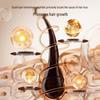 Nature's Gate Anti-Hair Loss Shampoo