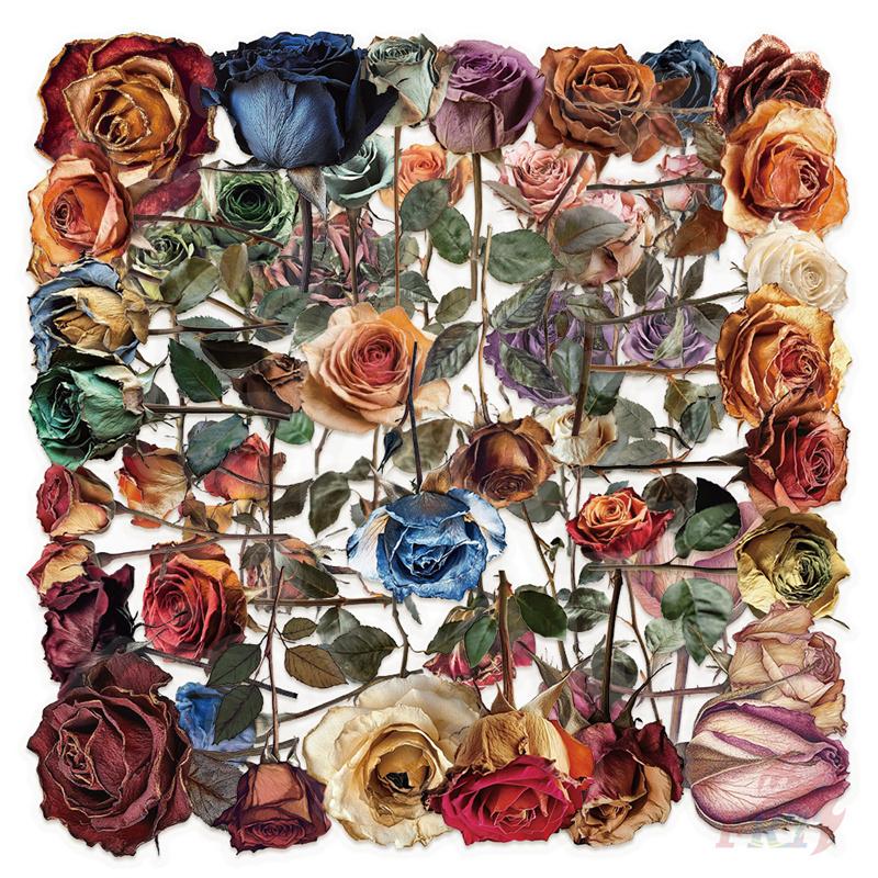 50Pcs/Set Romantic Dried Rose Series 01 PET Stickers Waterproof DIY Fashion Doodle Decals Stickers