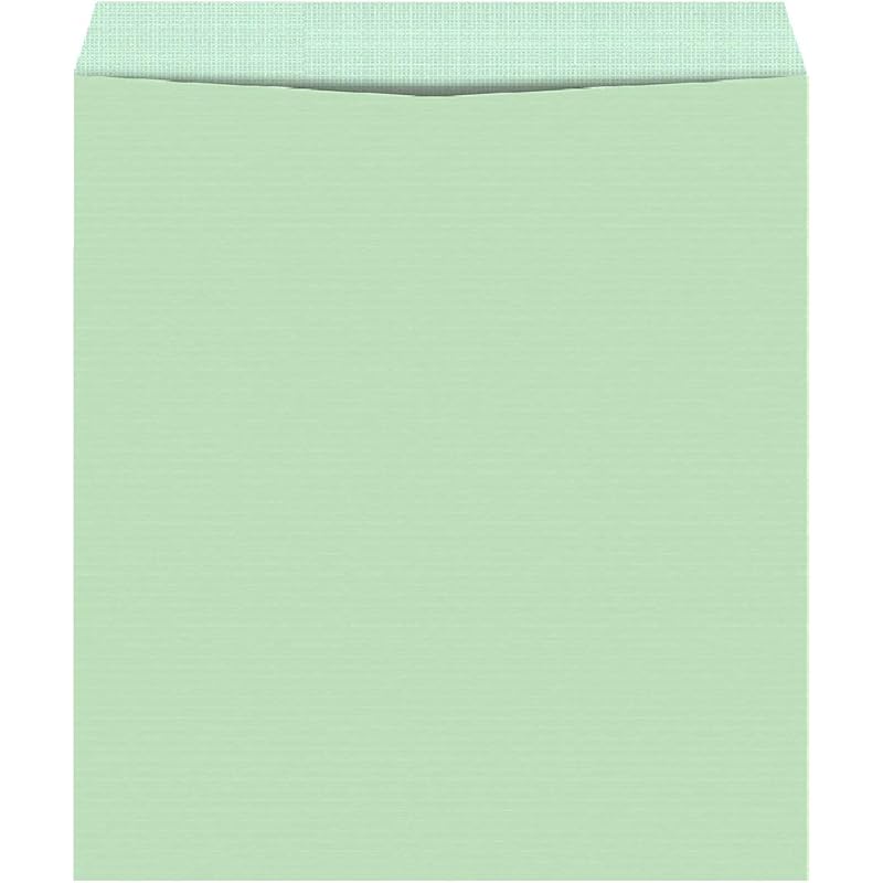 

Cubic 12 X10 Clothline Envelope, Pack of 50 (Green) 1210