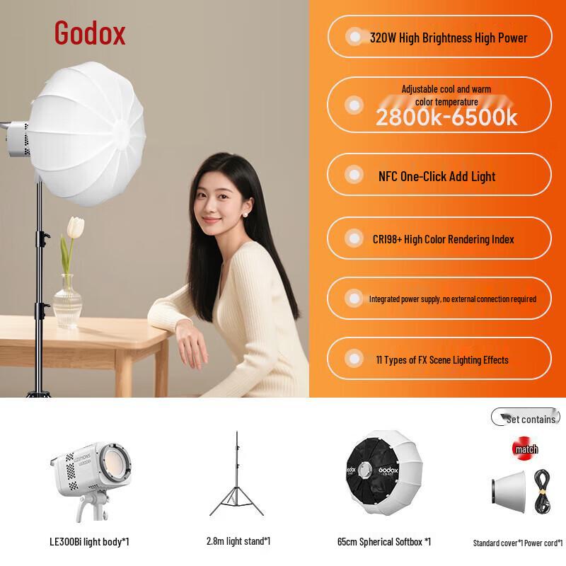Godox LE300Bi Bi-Color LED Video Light Kit