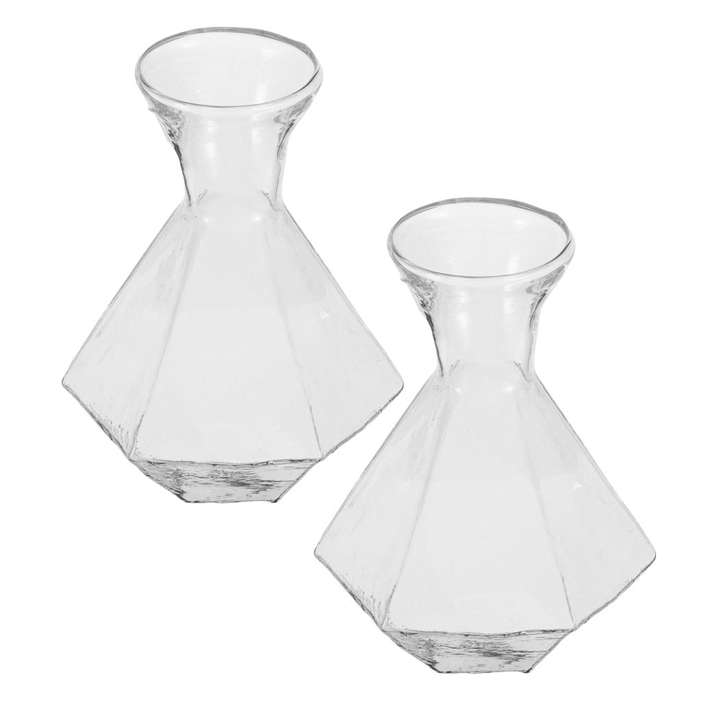 2Pcs Transparent Glass Vase High Borosilicate Clear Planter Jar Hydroponic Propagation Flower Display Home Office Decor