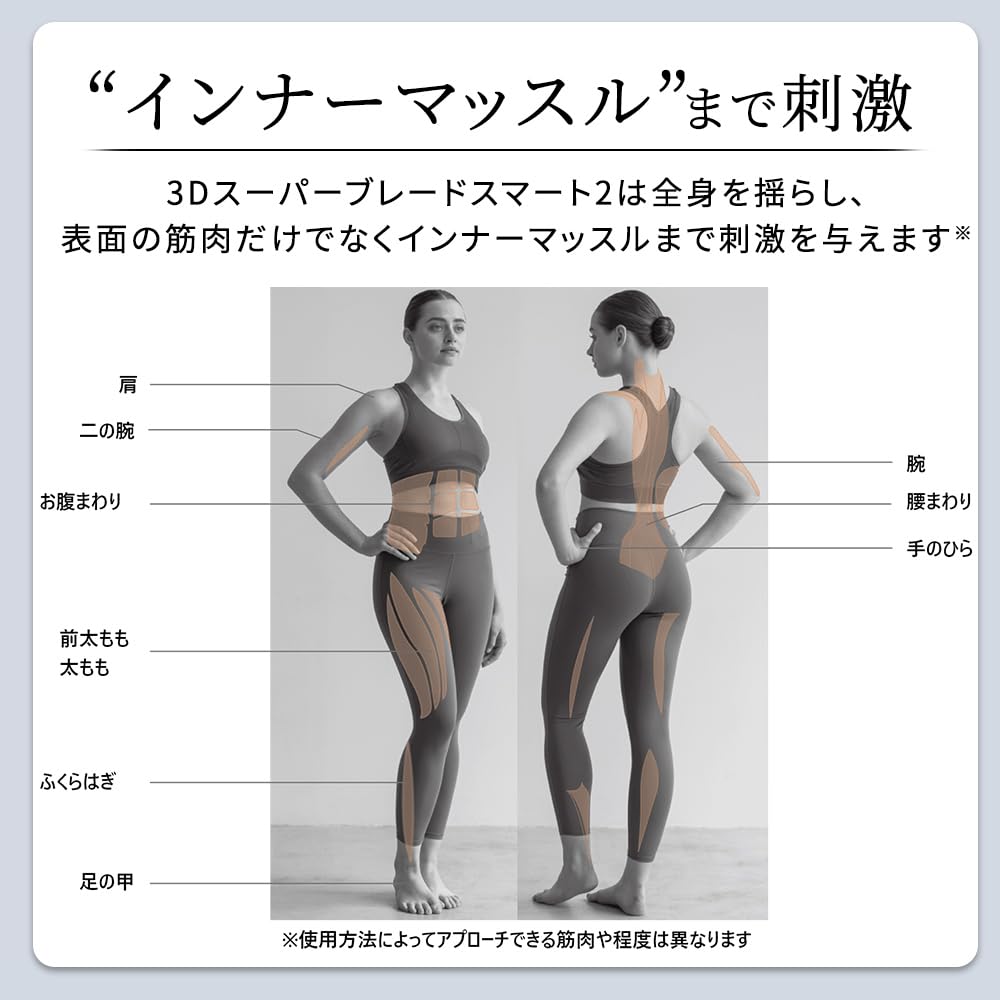 Official Store 3D Super Blade Smart 2 Item Stepper Vibration Vibrating Vibration Respect for the Aged Birthday BK Dr.Air (Single (1-Year Support),