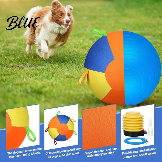 Pet Concentration Toy with Air Pump Multiple Nozzles Fast Inflation Tear-Resistant Chew-resistant Compact Size Portable Horse Training Inflatable