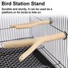 Parrot Perch Stand Y-Shaped Wood Birds Cage Parakeets Cockatiels Conures Macaws Finches Lovebirds Paw Grinding Climbing Standing Branch Pet Supplies