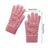 Fashion Style Thick Warm Women's Knitted Gloves Windproof Touch Screen Outdoor Gloves Keep Warm Plush Cold-proof Gloves Gifts