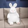 Plush Toy Big White Rabbit Doll Lazy Dudu Rabbit Sai Extra Fat Rabbit Doll Ragdoll