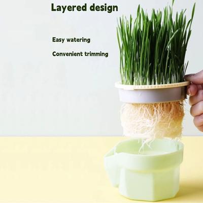 Hydroponic Cat Grass Box Planter Easy To Grow Reusable Microgreens Growing Kit Cat Grass Growing Pot Hierarchical Design