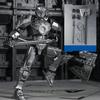 3D-gedruckte mehrfarbige Mecha Actionfigur Spielzeug Bewegliche Gelenke Mechwarrior Spielzeug Für Jungen Spielzeugsammlung Geschenke