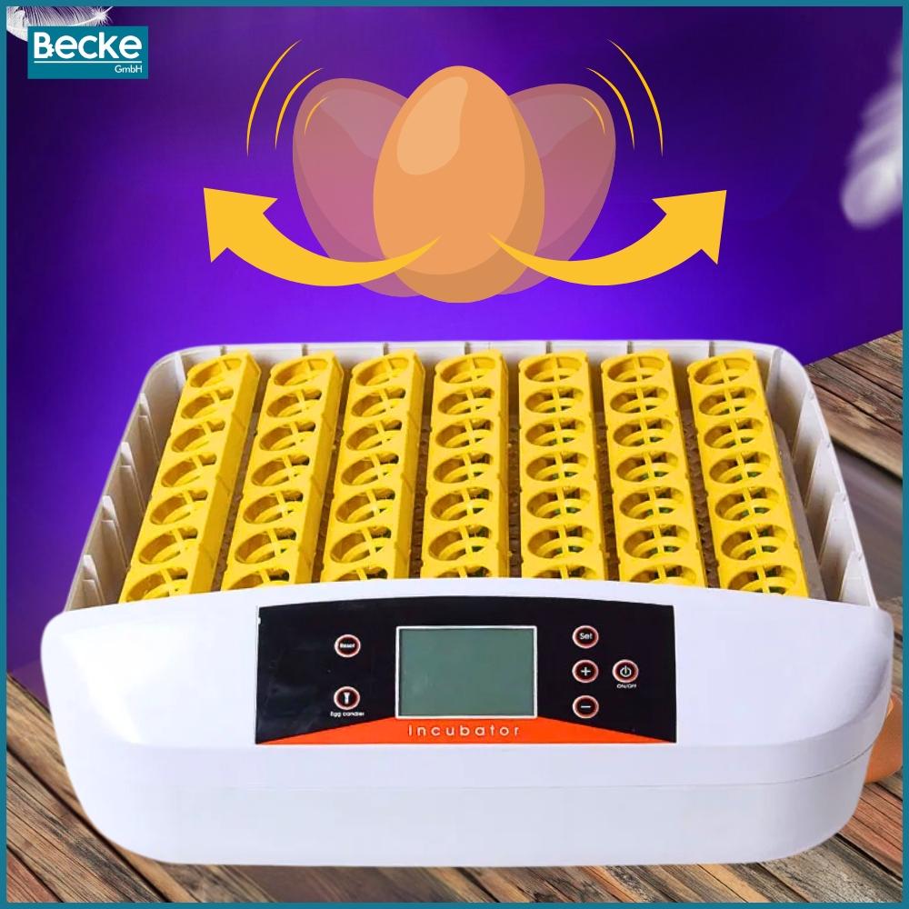 Egg incubator automatic hatcher hatchery poultry breeding ovoscope 56