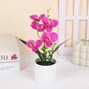 Multicolor Simulation Bonsai Accessories Faux Phalaenopsis Potted  Home Office Decoration