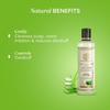 KHADI NATURAL Neem & Aloe Vera Herbal Shampoo 210ml Anti Dandruff Hair Care Strengthens Roots