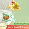 Bite Resistant Parrot Perch Feeder Detachable Bird Feeding Dish  Cage Accessories