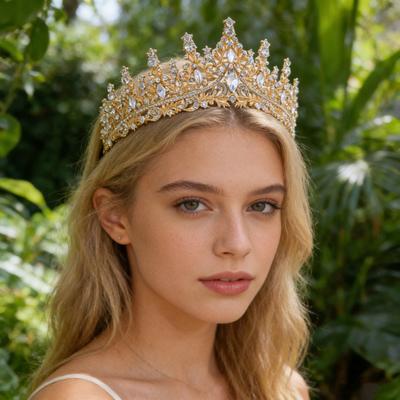 Women Crown Sparkling Rhinestones Inlaid Bridal Tiara Secure Fit Lightweight Princess Crown with Curved Ends Pins Hair Accessories