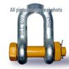 American Locking Shackle: Bow, D, U, Horseshoe & Hoisting Ring