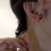 Chinese Style Facebook Earrings Women's Light Luxury Temperament Fringed Ethnic Style Earrings Red Earrings 2026 New Trend