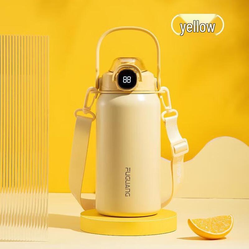 FUGUANG Junyue 316L Stainless Steel Insulated Bottle