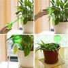 Automatic Watering Device Houseplant Plant Pot Bulb Globe Garden Waterer