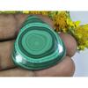 AA++ Natural Green Malachite Pear Cabochon Loose Gemstone 30X35X05MM 64 Cts. D-58