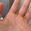 Small and Sweet Bow-shaped Screws for Ear Studs. Women's Small, Exclusive, Exquisite, Simple and Elegant Earrings. Versatile Accessories.