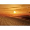 Sunset in the Desert Photography Backgrounds Vinyl Cloth Backdrop for Party Children Portrait Wall Decor Photophone Photo Studio