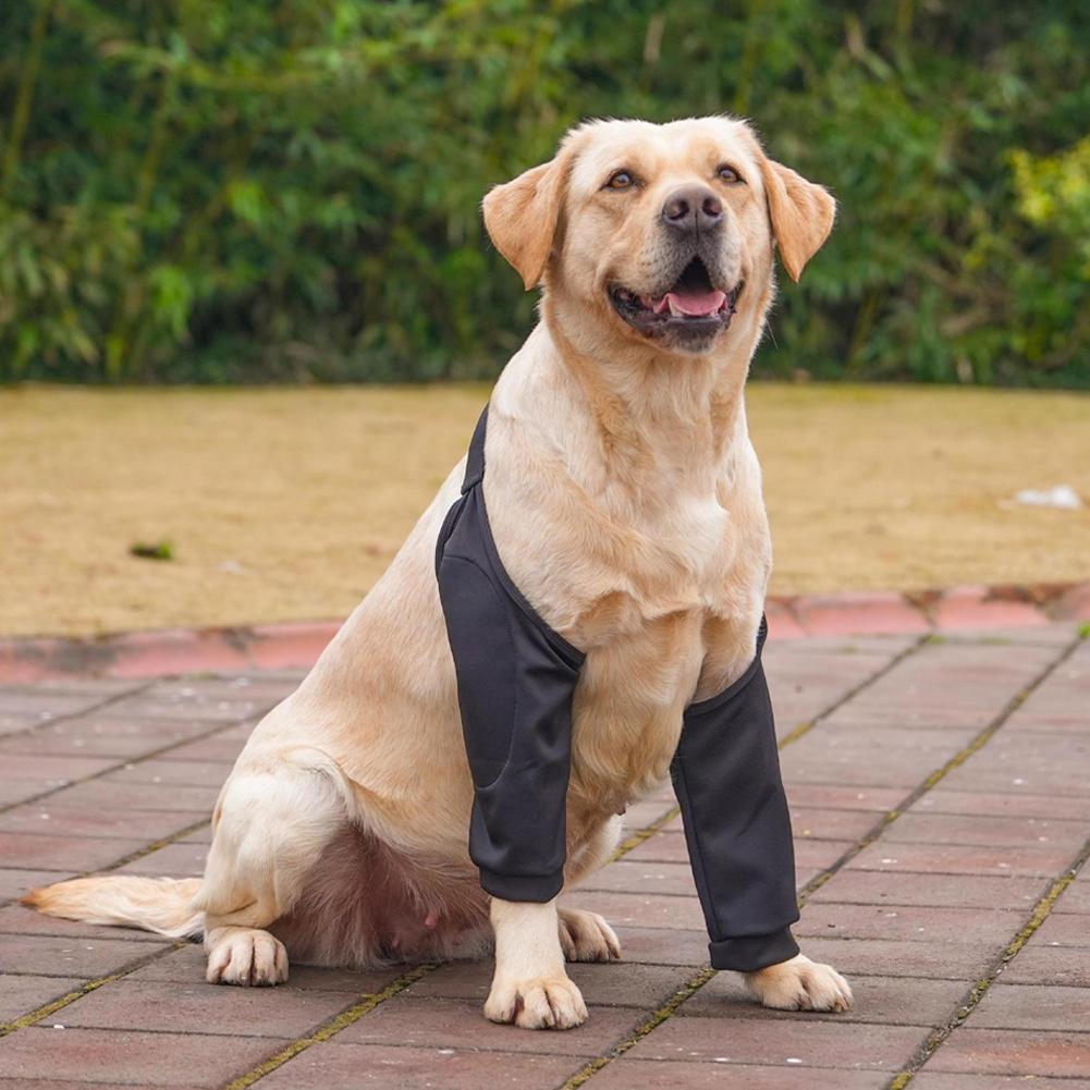 

Налокотник для собак, защита от облизывания, мягкие, дышащие, обезболивающие, поддержка плеч, налокотники, накладки для локтя собаки Black-XL