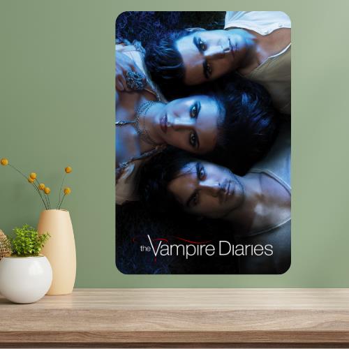 

Vampire Diaries Metal TV Show Poster Sign 20x30cm（7.8x11.8inch）