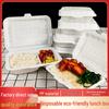 Thickened Large Capacity Disposable Plastic Lunch Box for Commercial Takeaway