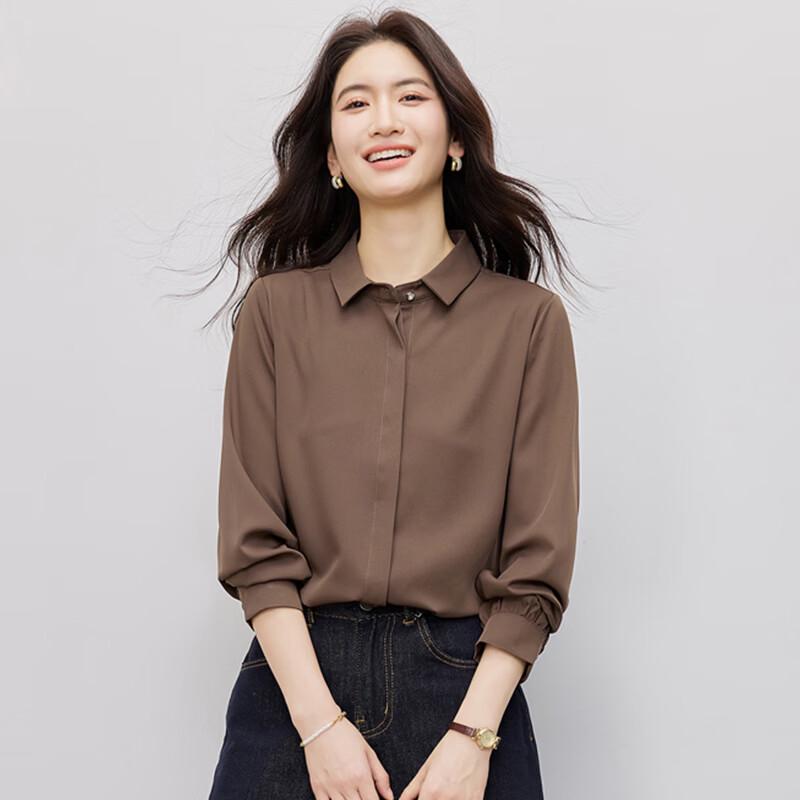 Women s Chiffon Long Sleeve Professional Shirt 2XL