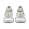 Nike Lebron Witness 6 EP White Metallic Pewter Men Sneakers Summit-White Light-Bone Aura DC8994-102