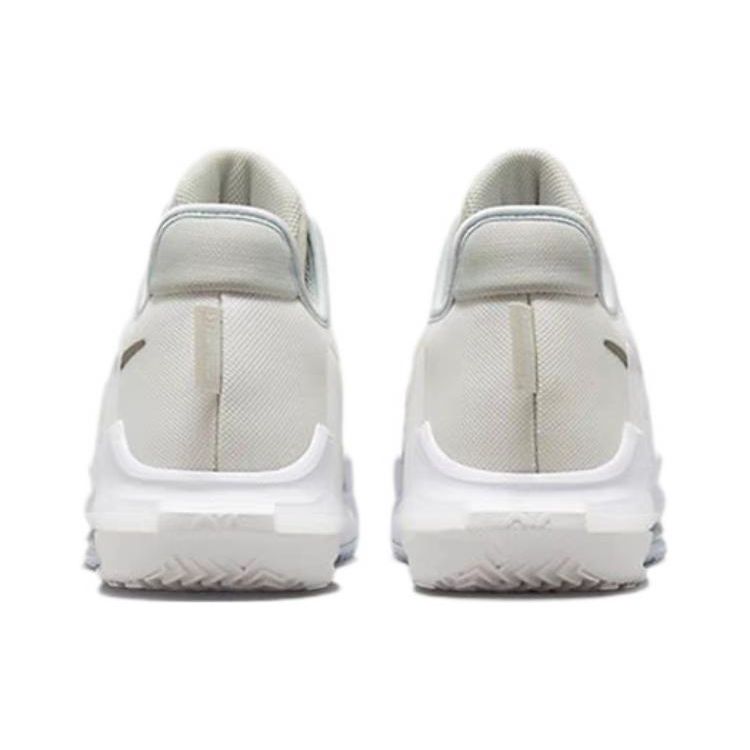 Nike Lebron Witness 6 EP White Metallic Pewter Men Sneakers Summit-White Light-Bone Aura DC8994-102