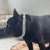 Faux Pearl Pet Collar